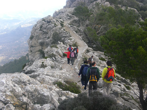 Cami de s'Arxiduc